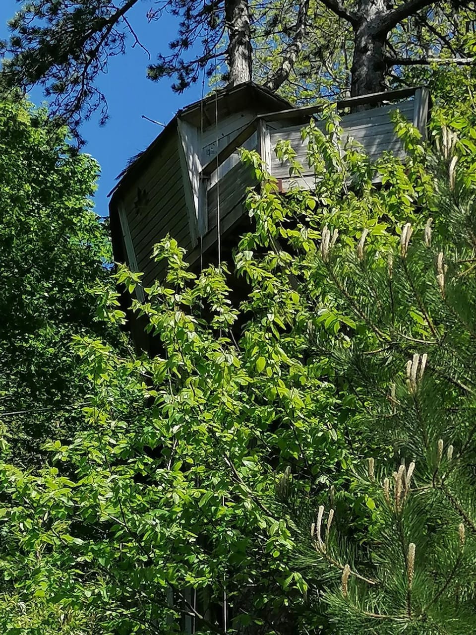 Spring, Day, Natural landscape, Garden