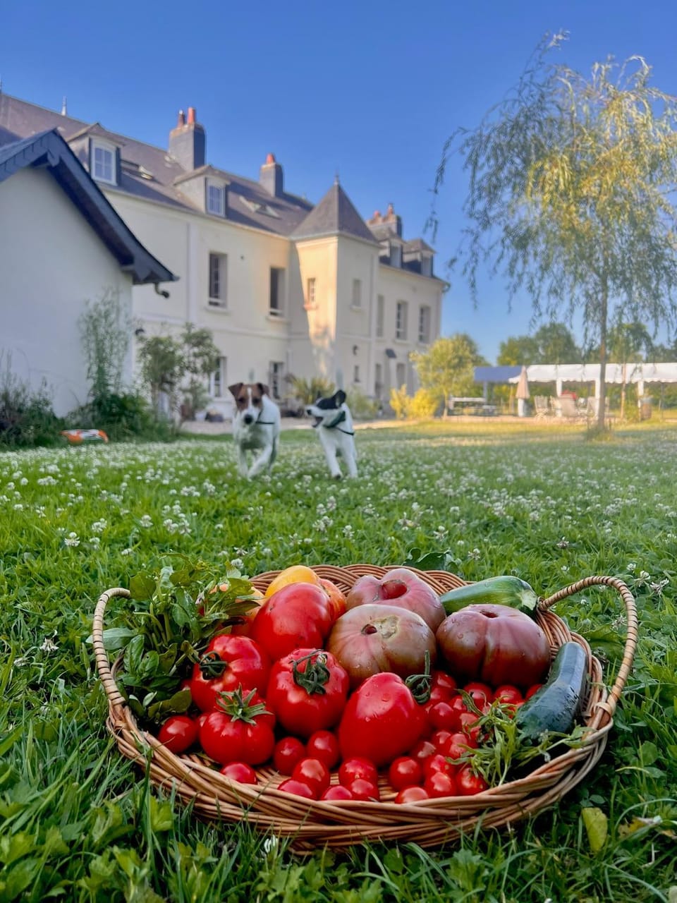 Manoir de L'Oiselière Bed and Breakfast in Normandy