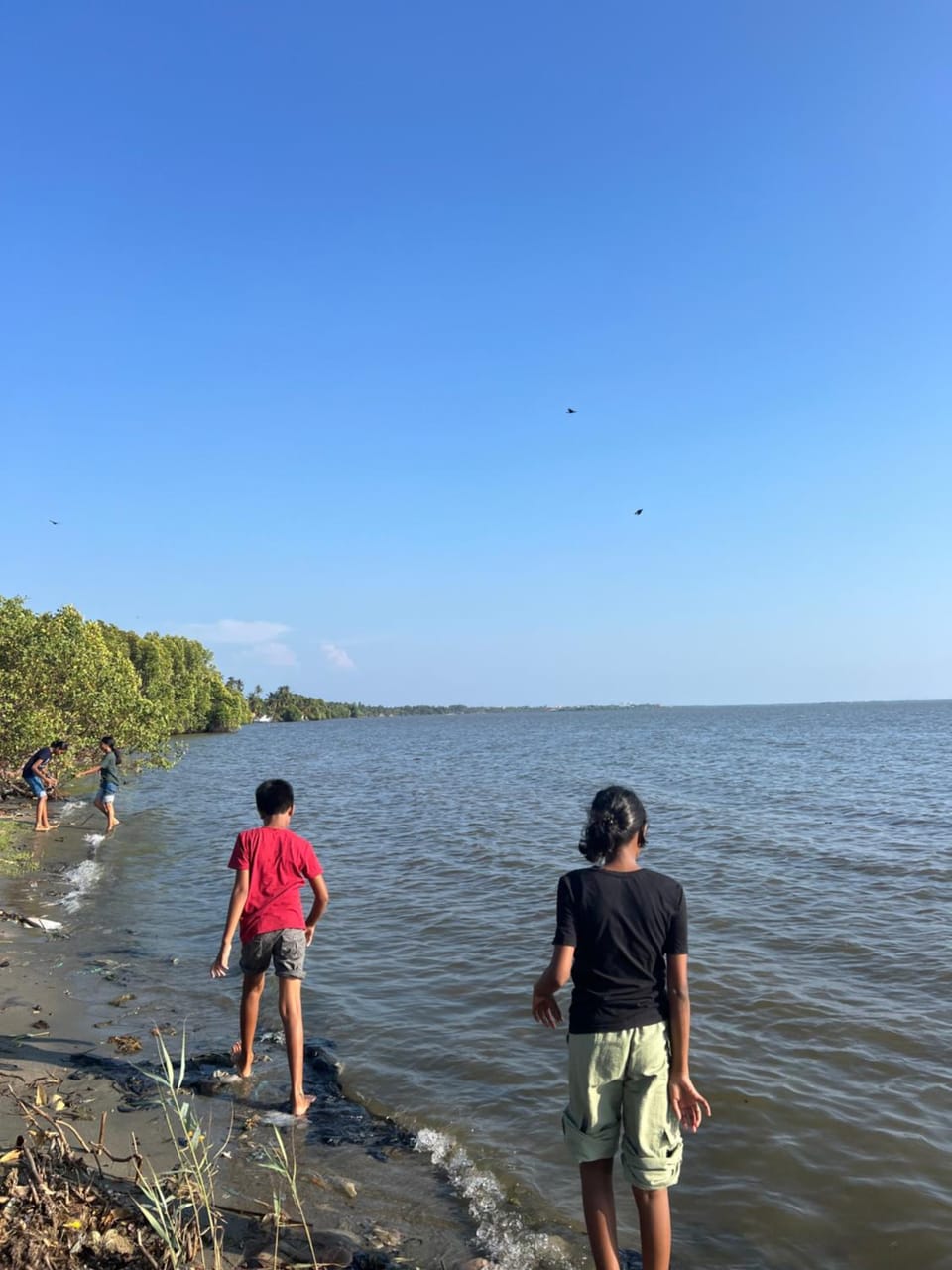 Lake view