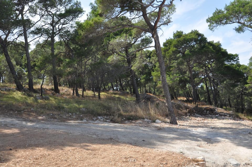 Natural landscape