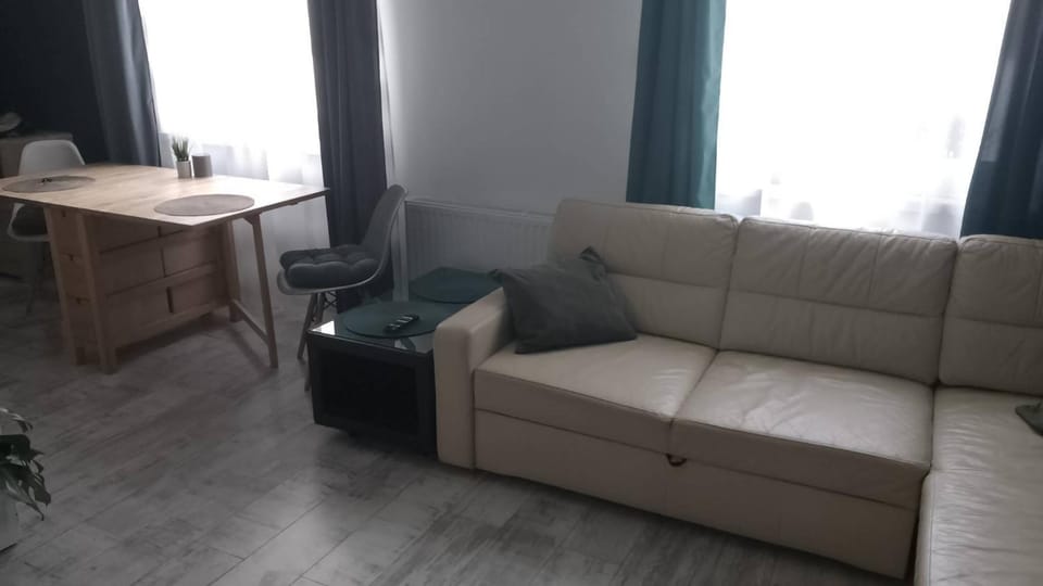 Apartament Leśny Apartment in Lower Silesian Voivodeship