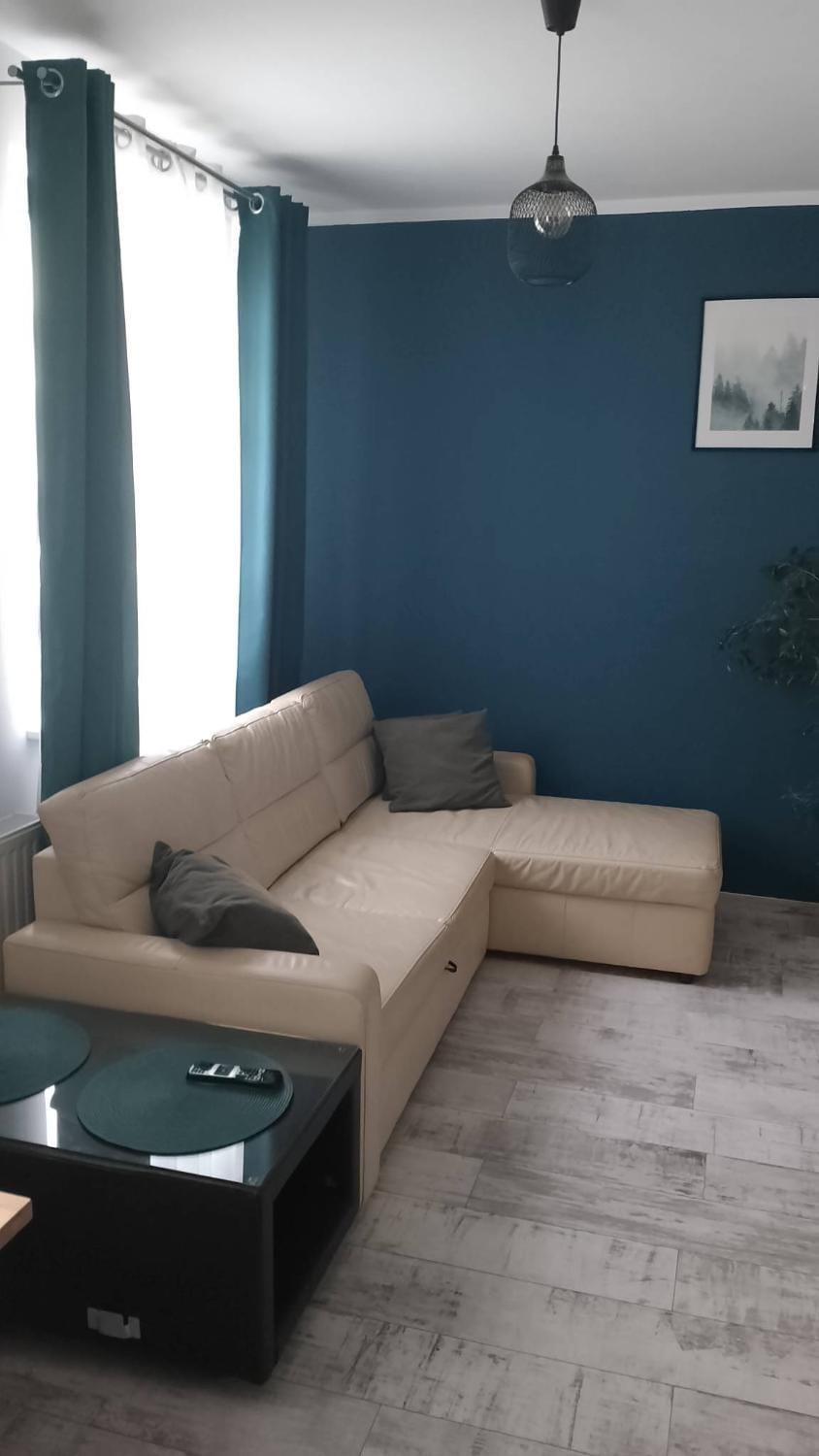 Apartament Leśny Apartment in Lower Silesian Voivodeship