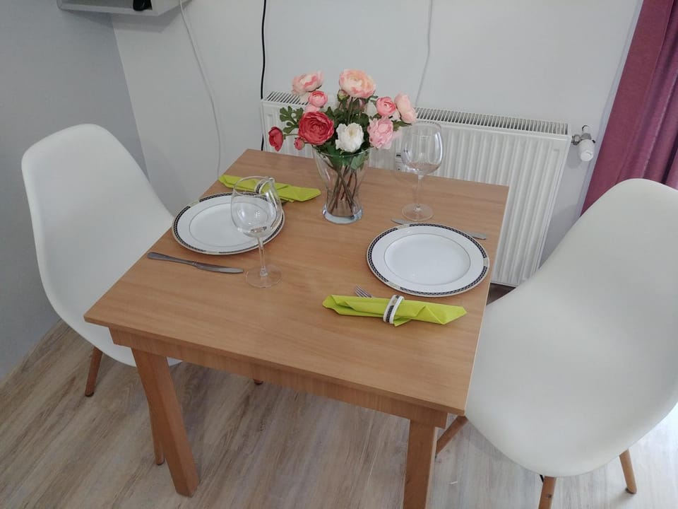 Apartament U Muzyków Apartment in Pomeranian Voivodeship