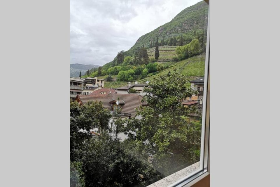 Neighbourhood, City view, Street view