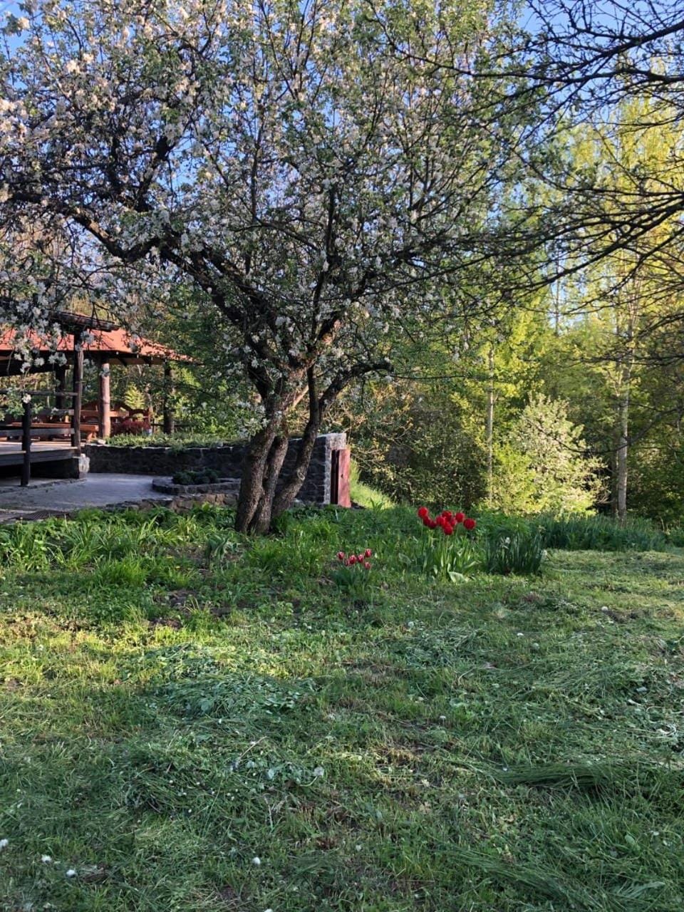 Будинок для відпочинку в лісі Villa in Ukraine