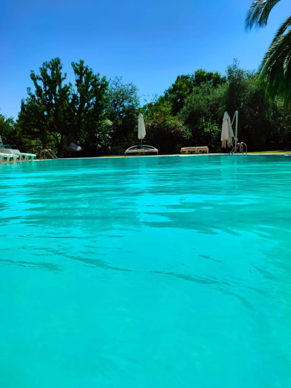 Bio Agriturismo Il Cavone Farm Stay in Lazio