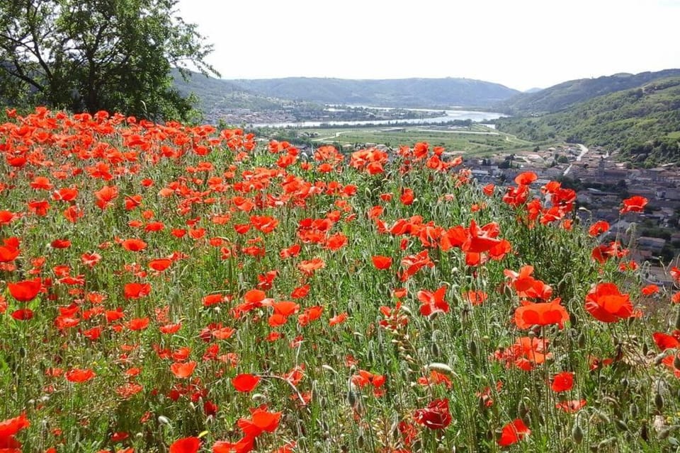 Gîtes de Revirand House in Auvergne-Rhône-Alpes