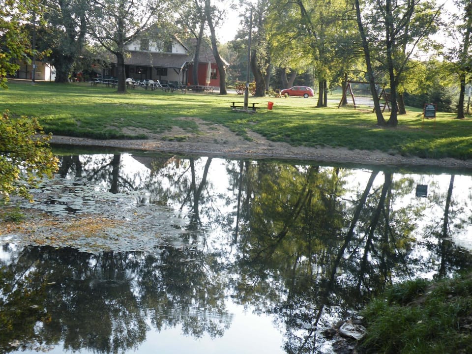 Area and facilities