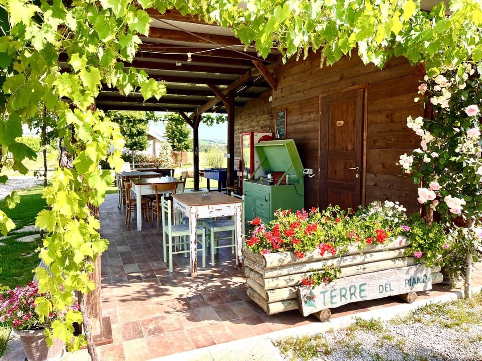 Terre del Piano-Bell Tent Luxury tent in Marche