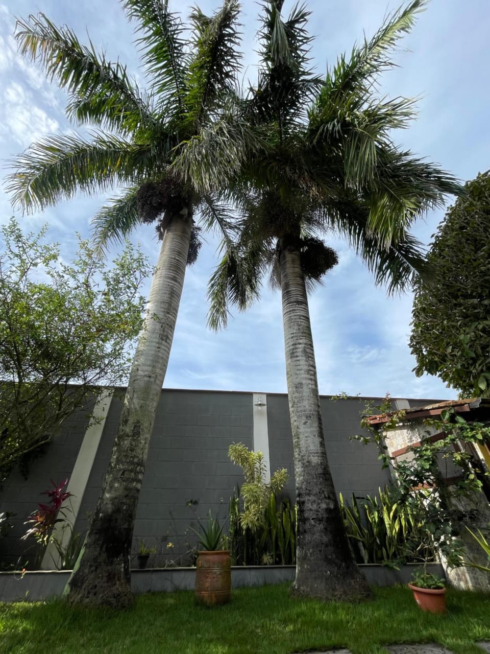 Cantinho das Palmeiras - Casa com Piscina Privativa - Enseada das Garças House in State of Espírito Santo, Brazil