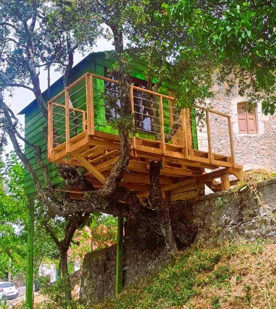 Property building, Spring, Day, Natural landscape, Garden, View (from property/room), Balcony/Terrace, Garden view