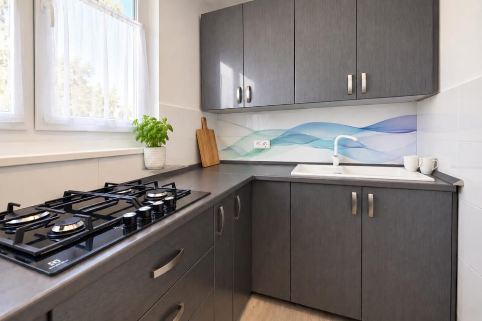 Kitchen or kitchenette, kitchen, kitchen