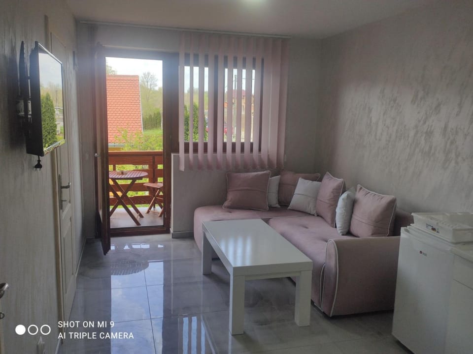 Apartmani ODMOR NA DRINI Apartment in Zlatibor District, Serbia