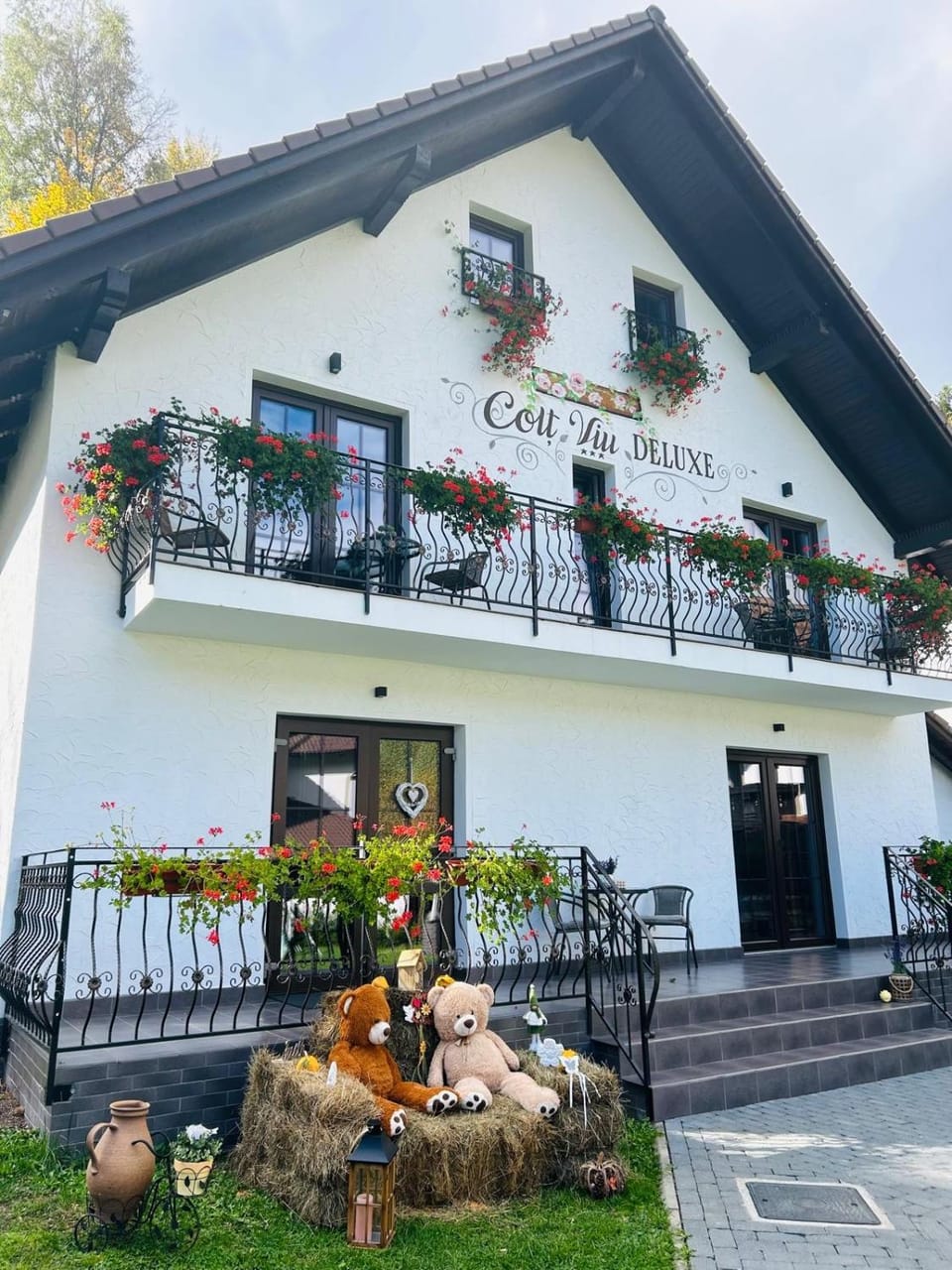 Colț Viu Deluxe Villa in Bran