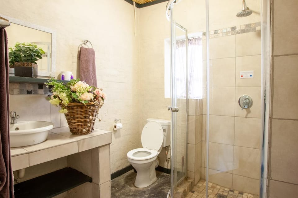 Bedrock Executive Studio with Kitchenette Apartment in Cape Town
