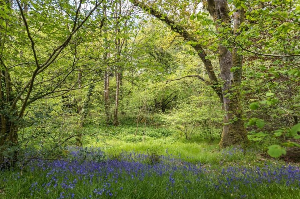 Pembrokeshire Yurts - Badger Luxury tent in Clydau