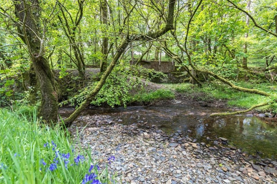 Pembrokeshire Yurts - Badger Luxury tent in Clydau