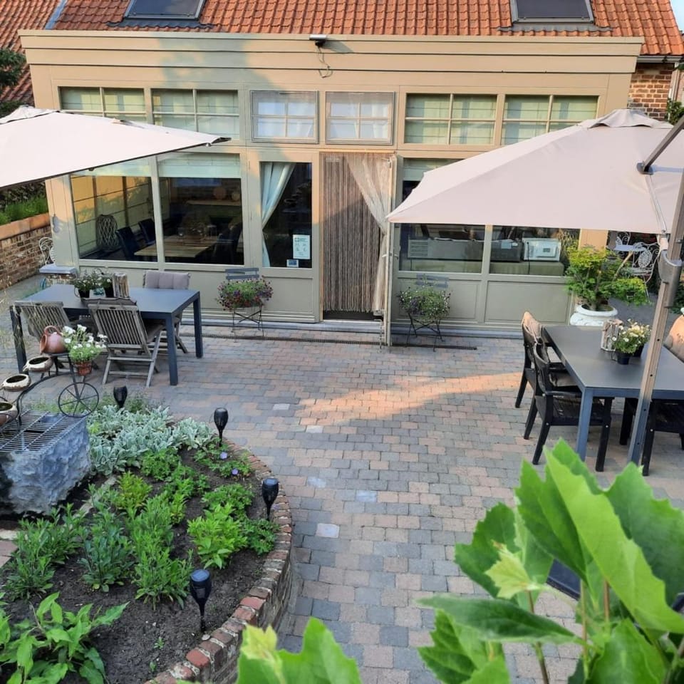 Property building, Spring, Day, Garden