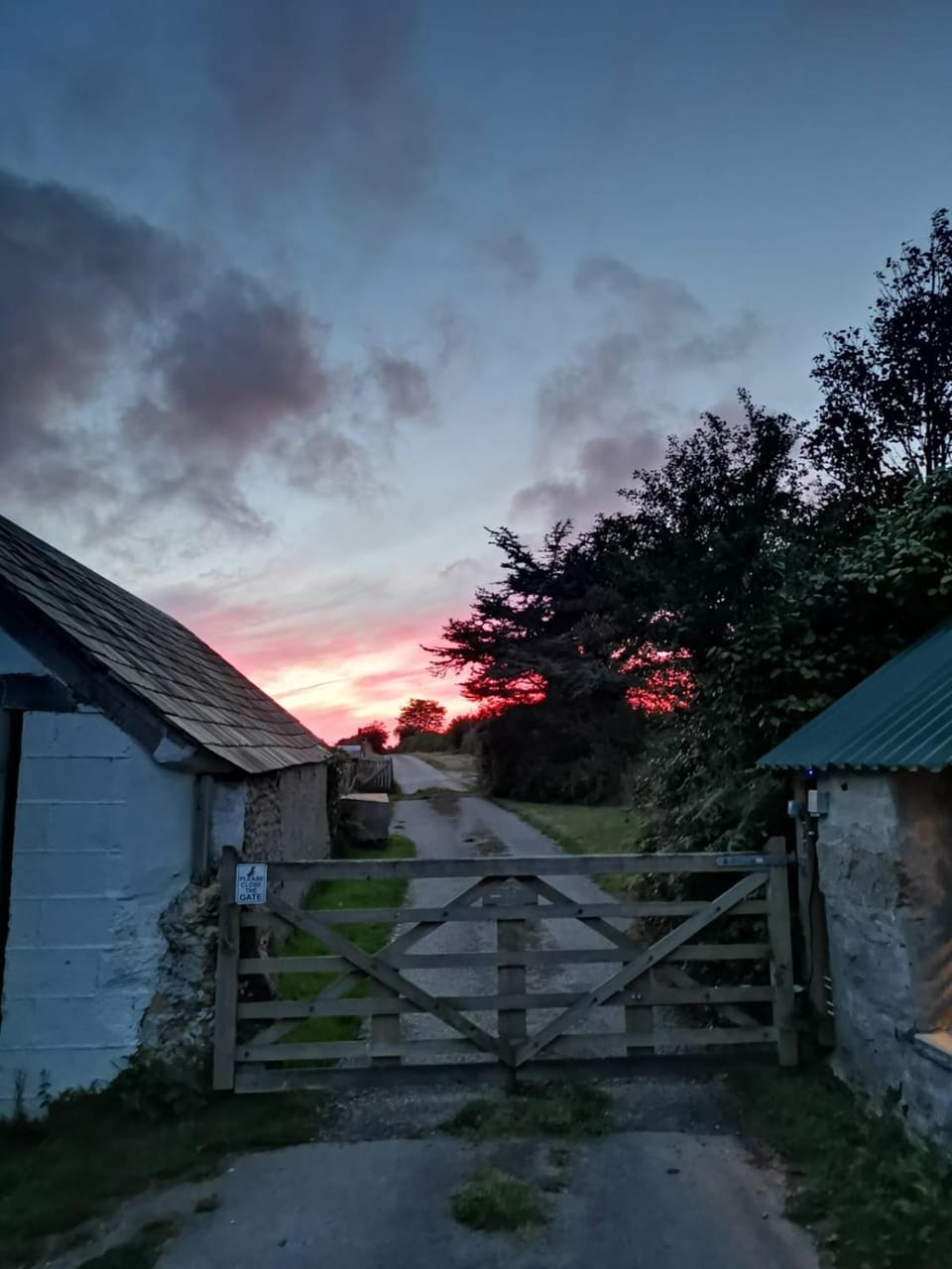Sunset