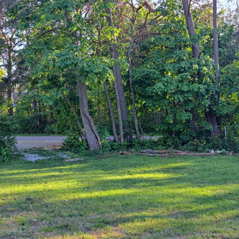 Day, Garden view