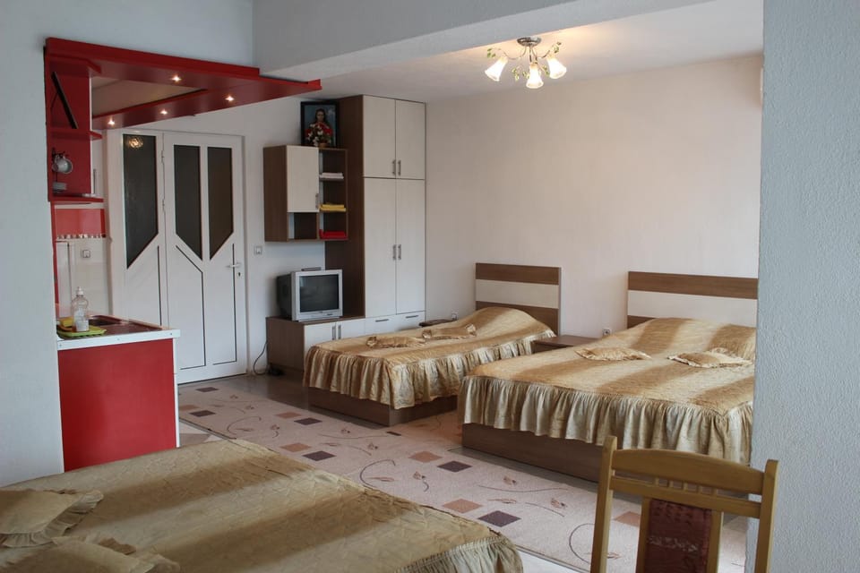 Orchideia Studios Apartment in Blagoevgrad Province