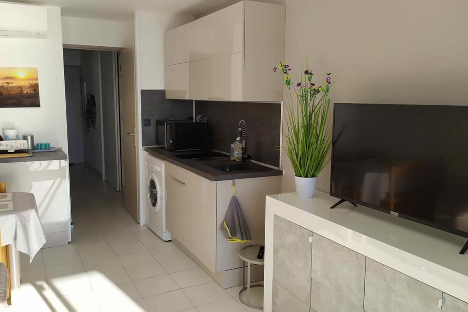 Nice Apartment With Sea View And Balcony Apartment in Cannes