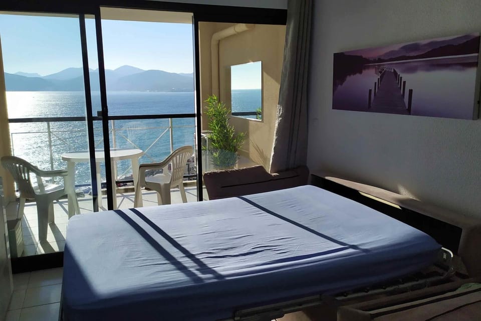 Nice Apartment With Sea View And Balcony Apartment in Cannes