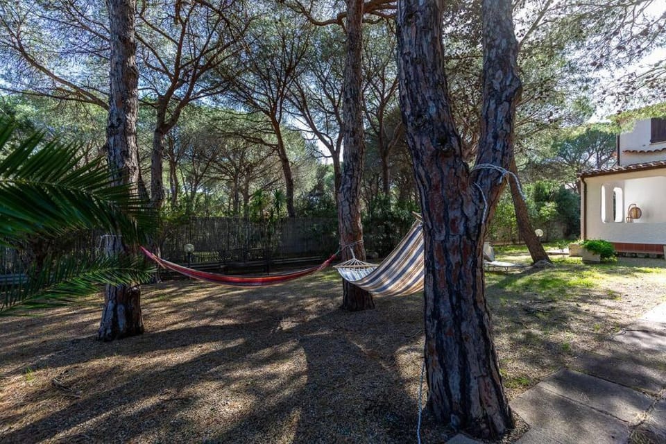 Day, Garden view