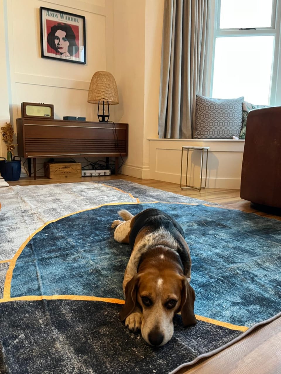 Stunning 3 bed seafront mansion building sleeps 6 adults or 8 with kids Apartment in Portrush