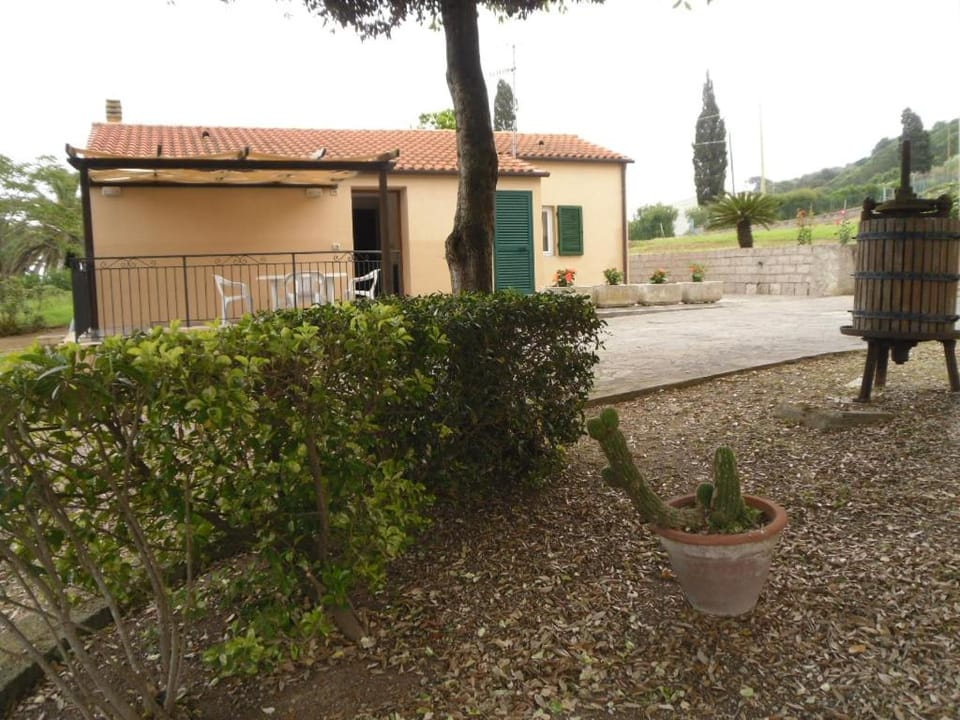 Property building, Garden