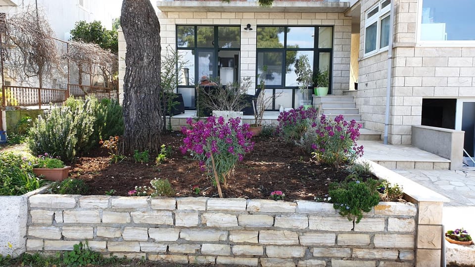 Property building, Facade/entrance, Garden