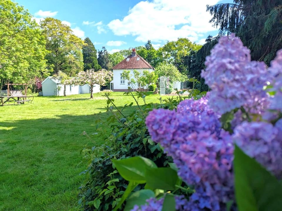 Garden, Pets