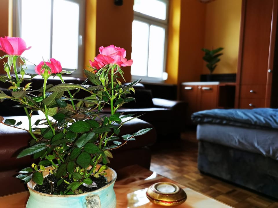 Lehel Apartman House in Hungary