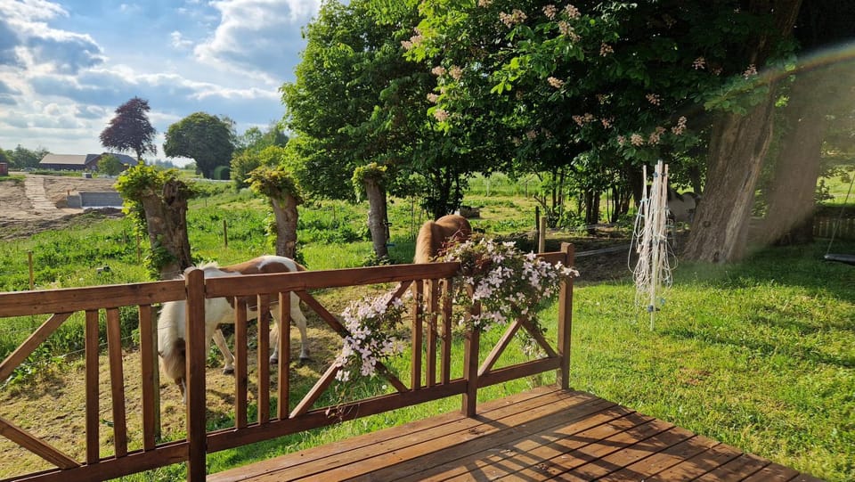 Topagergaard House in Region of Southern Denmark