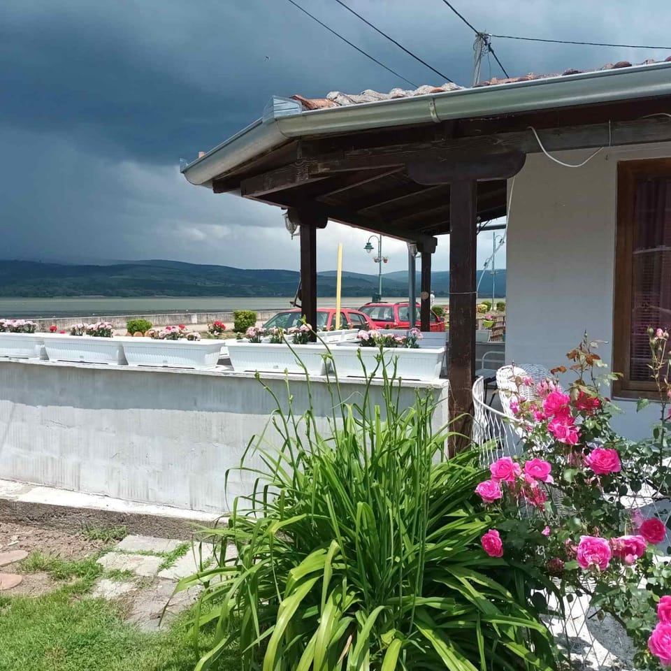 Property building, Spring, Day, Natural landscape, Garden, Balcony/Terrace, Garden view