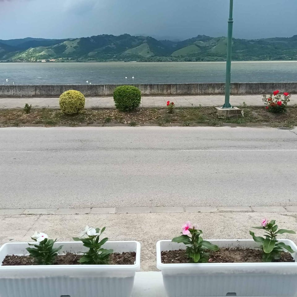 Spring, Day, Natural landscape, Mountain view, River view