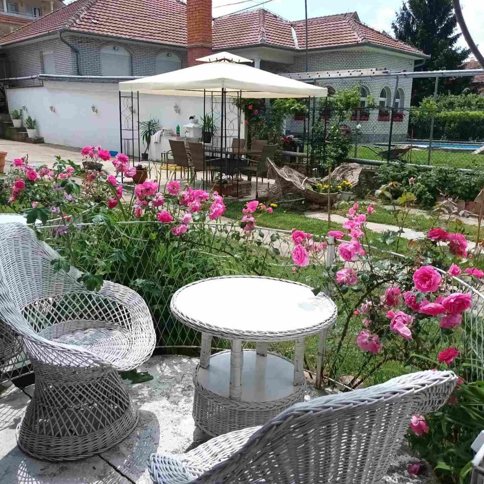 Property building, Spring, Day, Garden, Seating area, Garden view