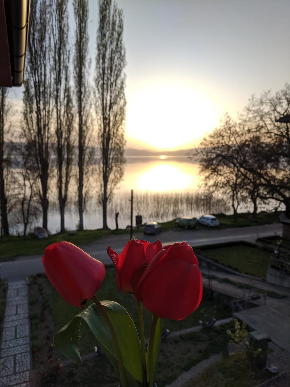 Ajkoski Apartments Pestani Bed and Breakfast in Municipality of Ohrid, North Macedonia