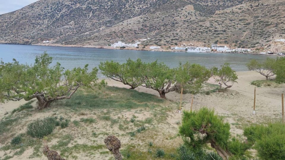 Sea view