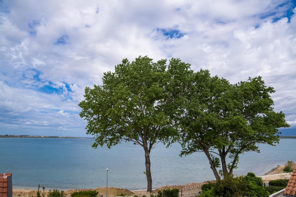 Natural landscape, Beach, Hiking