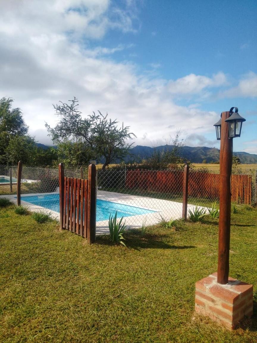 Garden, Swimming pool