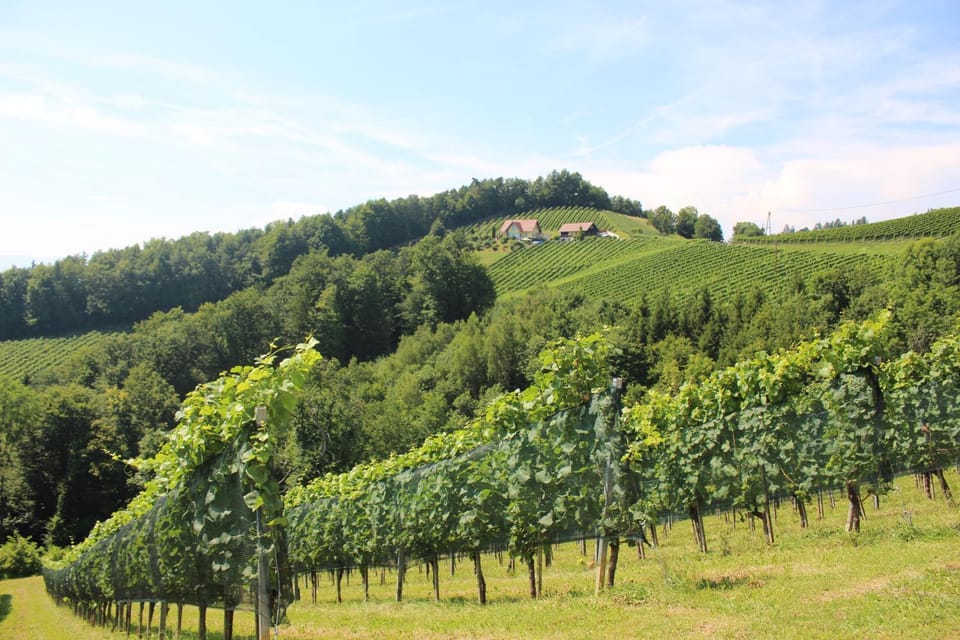 Natural landscape