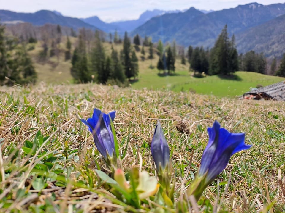 Natural landscape