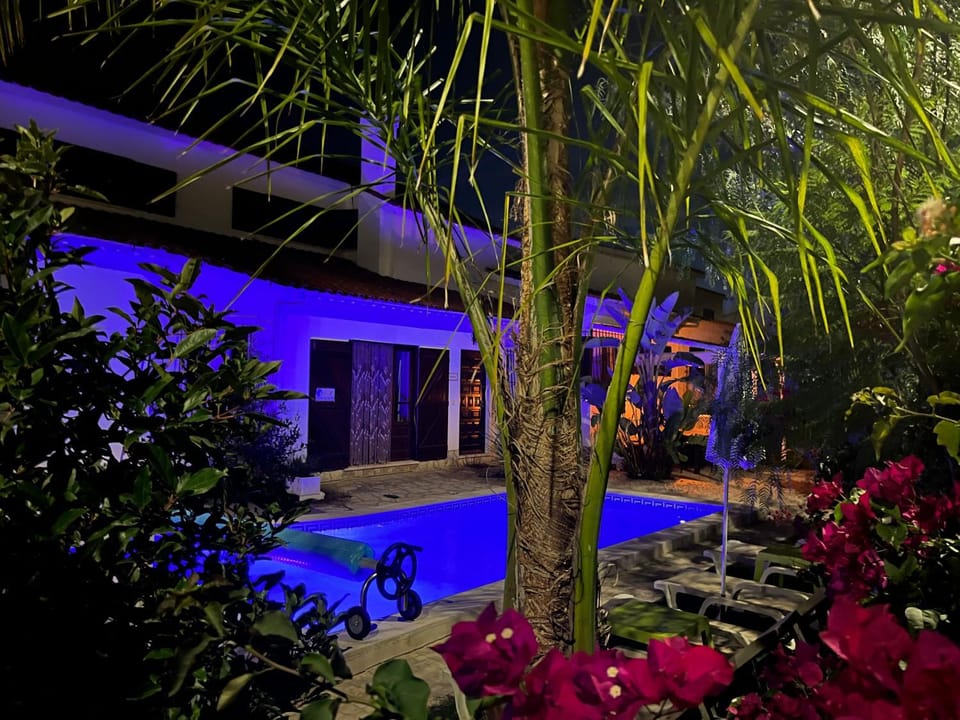 Casa Pausa Sesimbra Holiday Home House in Setubal District