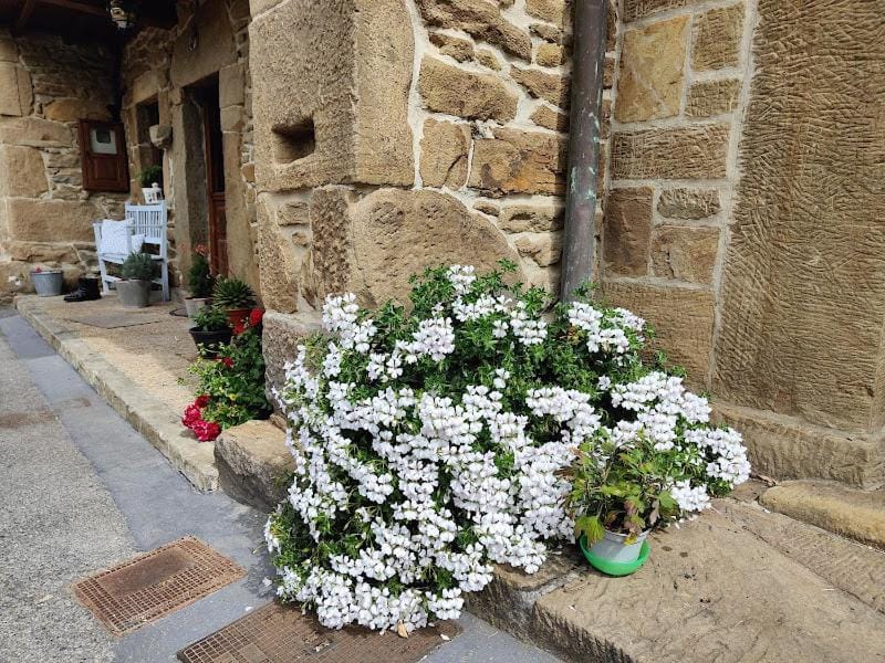 Spring, Off site, Day, Natural landscape, Summer