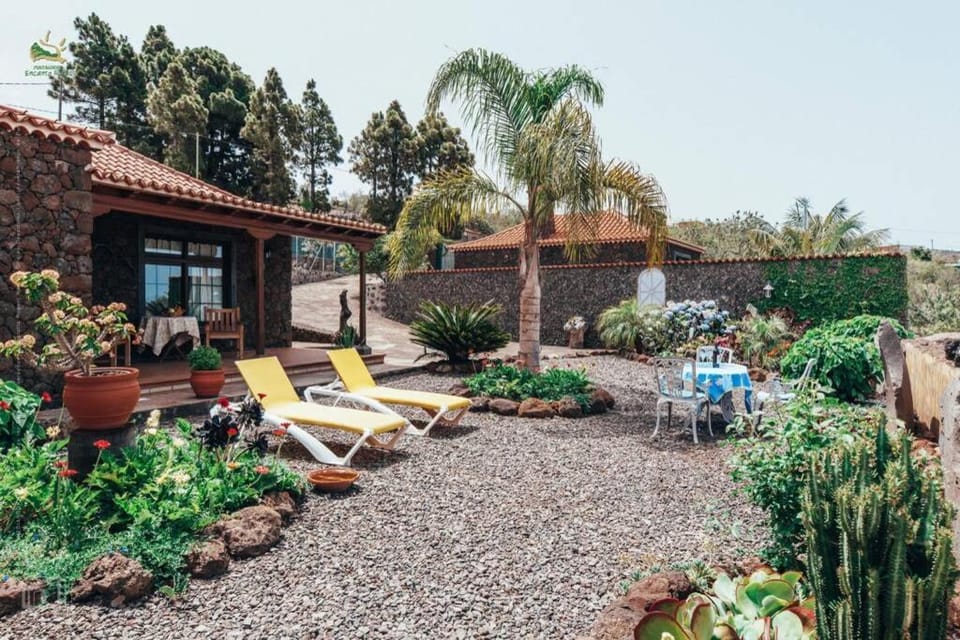Property building, Garden view, sunbed