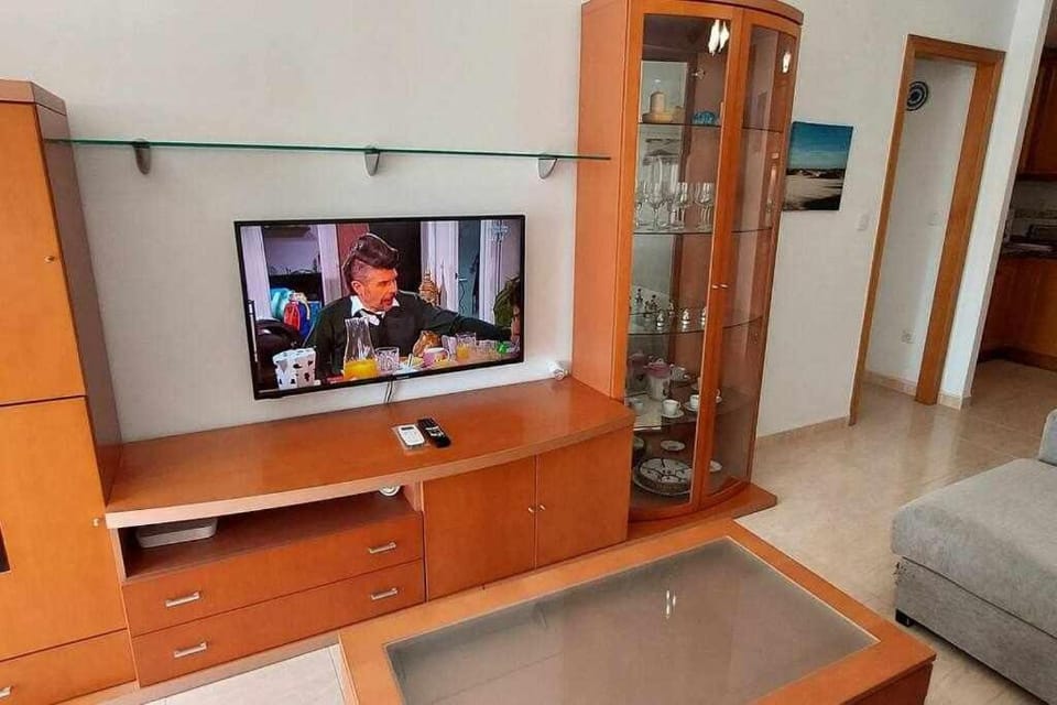 TV and multimedia, internet