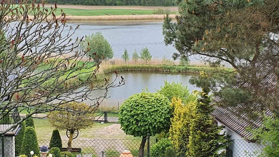 Lake view