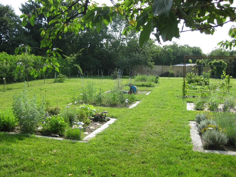 Garden, Garden view