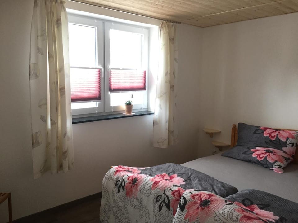 Ferienwohnung Groß Apartment in Erzgebirgskreis